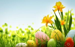colorful-easter-eggs-holiday-hd-wallpaper-1920x1200-10811
